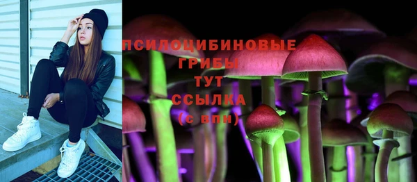 дурь Абаза
