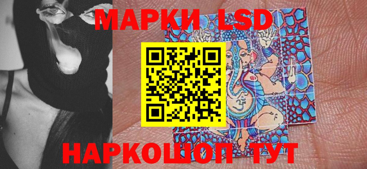 Галлюциногенные грибы Астрахань