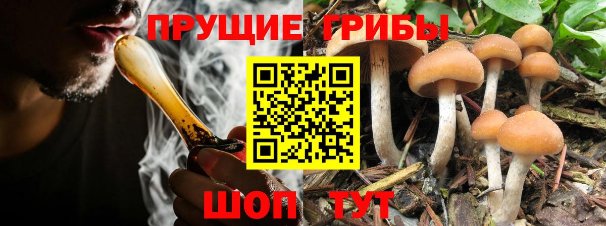 Галлюциногенные грибы мицелий  Вход с VPN  Псилоцибиновые грибы мицелий  Астрахань 